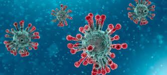 Secondo l'Organizzazione Mondiale della Sanità non possiamo avere una normalità a breve. Il virus non va visto come un qualcosa di statico, è una forma di non vita dinamica.