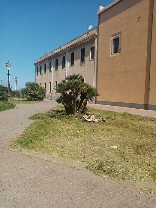 Milazzo (ME) - Comune alla ricerca di giardinieri